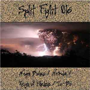Negri Bodies / Nebulæ / Reign Of Skeksis / To-Bo - Split Fight 016 mp3