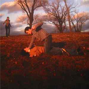 Magik Markers - I Trust My Guitar, Etc. mp3
