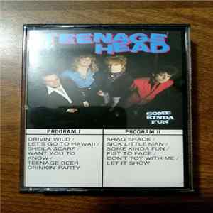 Teenage Head - Some Kinda Fun mp3