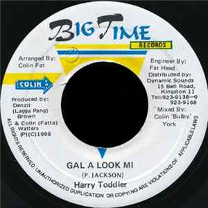 Harry Toddler - Gal A Look Mi mp3