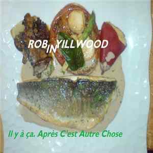 Robin Yillwood - Il y à ça, Après C'est Autre Chose mp3