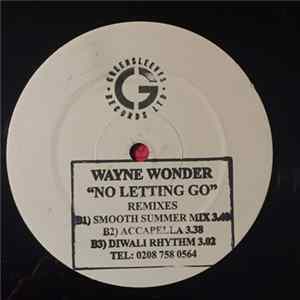 Wayne Wonder - No Letting Go Remixes mp3
