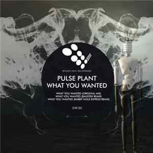 Pulse Plant - What You Wanted mp3