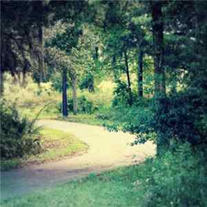 Cobalt Rabbit - Always Waiting mp3