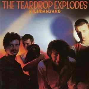 The Teardrop Explodes - Kilimanjaro mp3