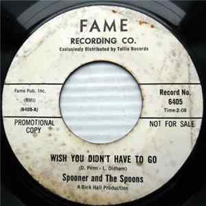 Spooner And The Spoons - Hey, Do You Wanna Marry? mp3