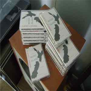 Various - Noise Island mp3