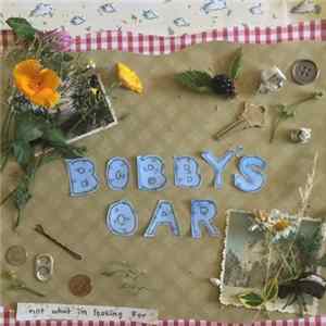 Bobby's Oar - Not What I'm Looking For mp3